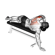 Dumbbell Lying One Arm Deltoid Rear demonstration animation