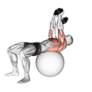 Dumbbell Lying Pullover On Exercise Ball demonstration animation