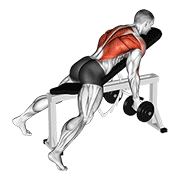 Dumbbell Lying Rear Delt Row demonstration animation