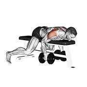 Dumbbell Lying Rear Lateral Raise demonstration animation