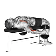 Dumbbell Lying Supine Curl demonstration animation