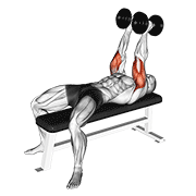 Dumbbell Neutral Grip Bench Press demonstration animation