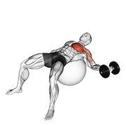 Dumbbell One Arm Chest Fly On Exercise Ball demonstration animation