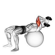 Dumbbell One Arm French Press On Exercise Ball demonstration animation