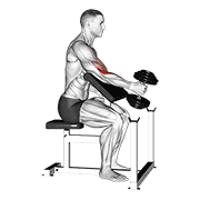 Dumbbell One Arm Hammer Preacher Curl demonstration animation