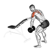 Dumbbell One Arm Reverse Fly With Support demonstration animation