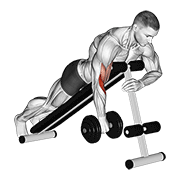 Dumbbell One Arm Reverse Spider Curl demonstration animation