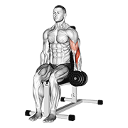 Dumbbell One Arm Seated Hammer Curl demonstration animation