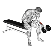 Dumbbell One Arm Seated Neutral Wrist Curl demonstration animation