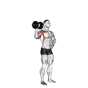 Dumbbell One Arm Shoulder Press V2 demonstration animation