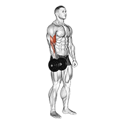 Dumbbell One Arm Standing Curl demonstration animation