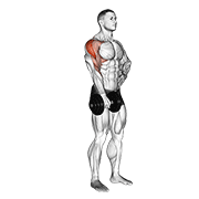 Dumbbell One Arm Upright Row demonstration animation