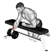 Dumbbell Over Bench One Arm Wrist Curl demonstration animation