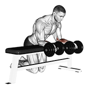 Dumbbell Over Bench Revers Wrist Curl demonstration animation