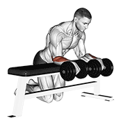 Dumbbell Over Bench Wrist Curl demonstration animation