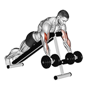 Dumbbell Prone Incline Curl demonstration animation