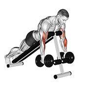 Dumbbell Prone Incline Hammer Curl demonstration animation