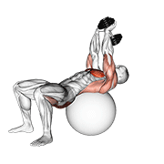 Dumbbell Pullover Hip Extension On Exercise Ball demonstration animation