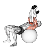 Dumbbell Pullover On Exercise Ball demonstration animation