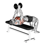 Dumbbell Pullover demonstration animation