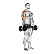 Dumbbell Raise demonstration animation