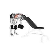 Dumbbell Rear Lateral Raise Support Head demonstration animation