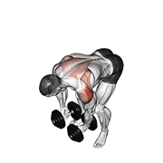 Dumbbell Rear Lateral Raise demonstration animation