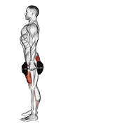 Dumbbell Rear Lunge demonstration animation