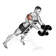 Dumbbell Reverse Fly demonstration animation