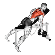Dumbbell Reverse Grip Incline Bench One Arm Row demonstration animation