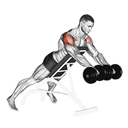 Dumbbell Rotation Reverse Fly demonstration animation
