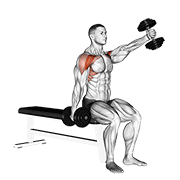 Dumbbell Seated Alternate Front Raise demonstration animation