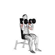 Dumbbell Seated Alternate Press demonstration animation