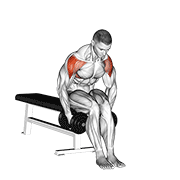 Dumbbell Seated Bent Arm Lateral Raise demonstration animation