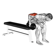 Dumbbell Seated Bent Over Triceps Extension demonstration animation
