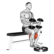 Dumbbell Seated Calf Raise demonstration animation
