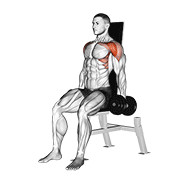 Dumbbell Seated Front Raise demonstration animation