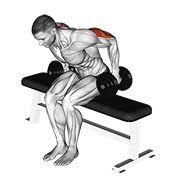 Dumbbell Seated Kickback demonstration animation