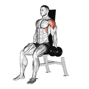 Dumbbell Seated Lateral Raise V2 demonstration animation