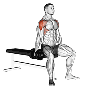 Dumbbell Seated Lateral Raise demonstration animation