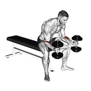 Dumbbell Seated Neutral Wrist Curl demonstration animation
