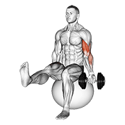 Dumbbell Seated One Arm Bicep Curl On Exercise Ball With Leg Raised demonstration animation
