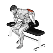 Dumbbell Seated One Arm Kickback demonstration animation