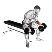 Dumbbell Seated Palms Up Wrist Curl demonstration animation