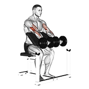 Dumbbell Seated Preacher Curl demonstration animation