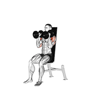Dumbbell Seated Shoulder Press Parallel Grip demonstration animation