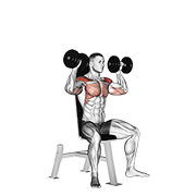 Dumbbell Shoulder Press demonstration animation