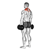Dumbbell Shrug demonstration animation