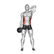 Dumbbell Side Bend demonstration animation
