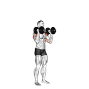 Dumbbell Standing Alternate Overhead Press demonstration animation